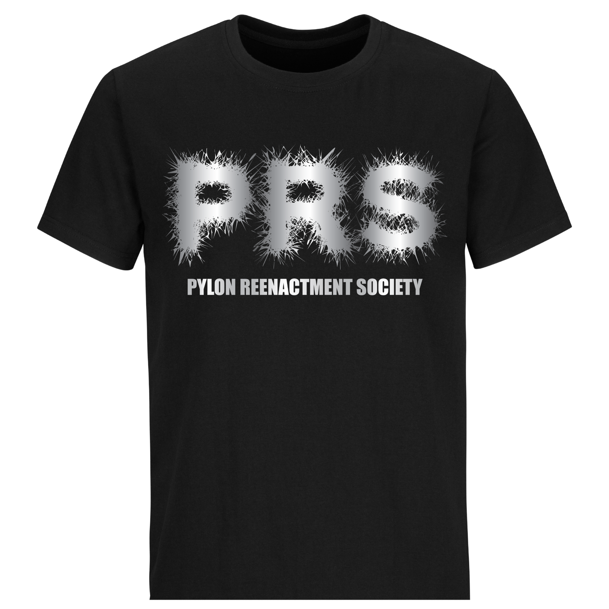 Pylon Reenactment Society Tee Black