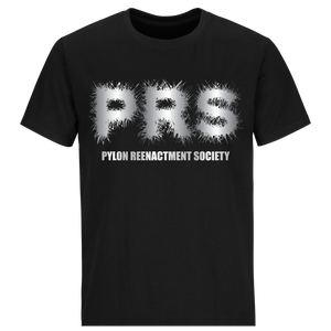 Pylon Reenactment Society Tee Black